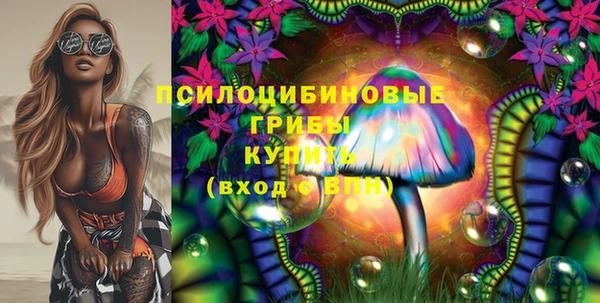 стаф Зерноград