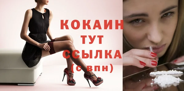 стаф Зерноград