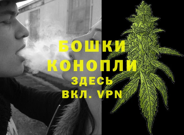стаф Зерноград