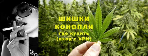 стаф Зерноград